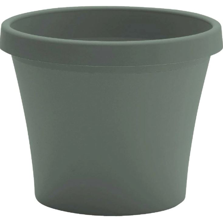 TERRA 8" BASIL PLANTER