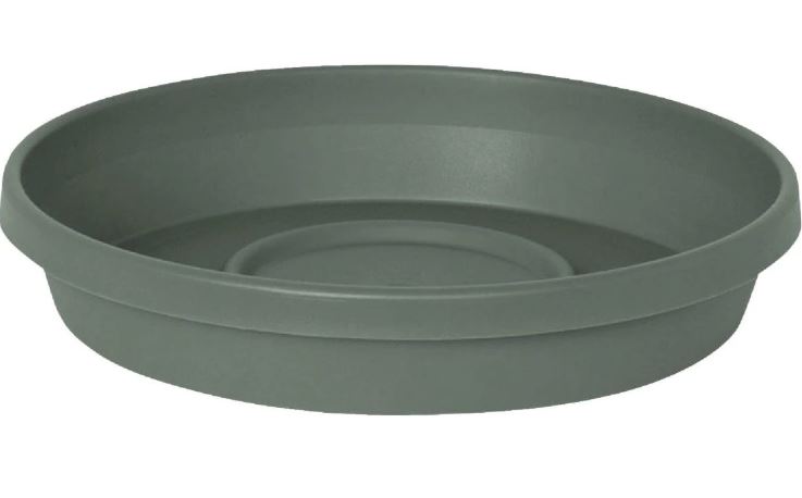 TERRA BASIL SAUCER PLANTER 10"