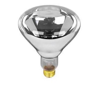 CLEAR HEAT LAMP BULB 250W