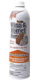 WASP &&nbsp;&nbsp;HORNET KILLER FOAM 15OZ