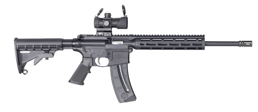 SMITH & WESSON M&P15-22 22LR 25 ROUNDS