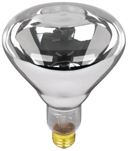 CLEAR HEAT LAMP BULB 125W