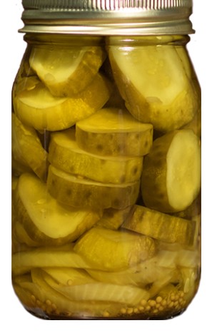 BREAD & BUTTER PICKLES 16OZ