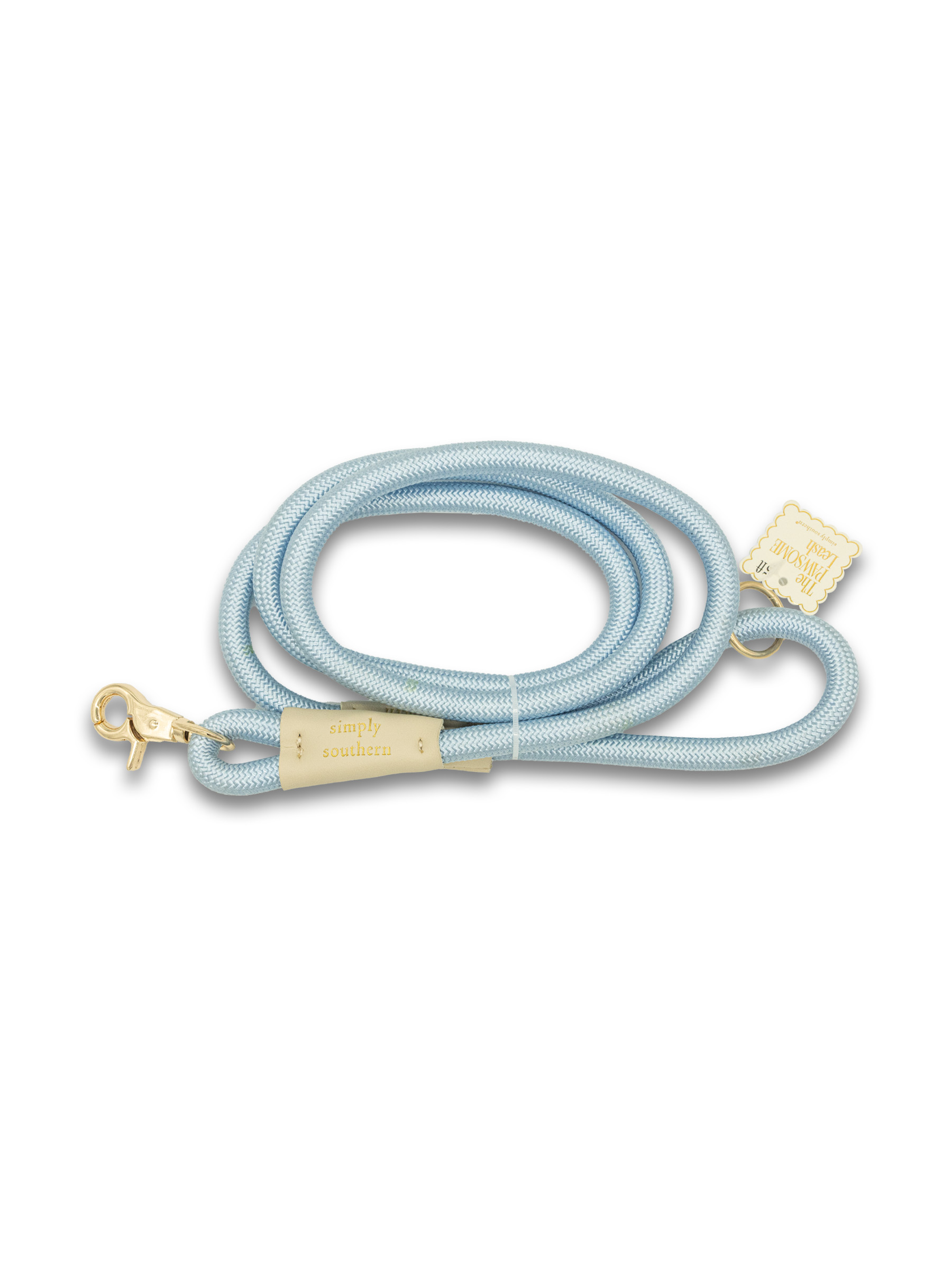 SS PET LEASH