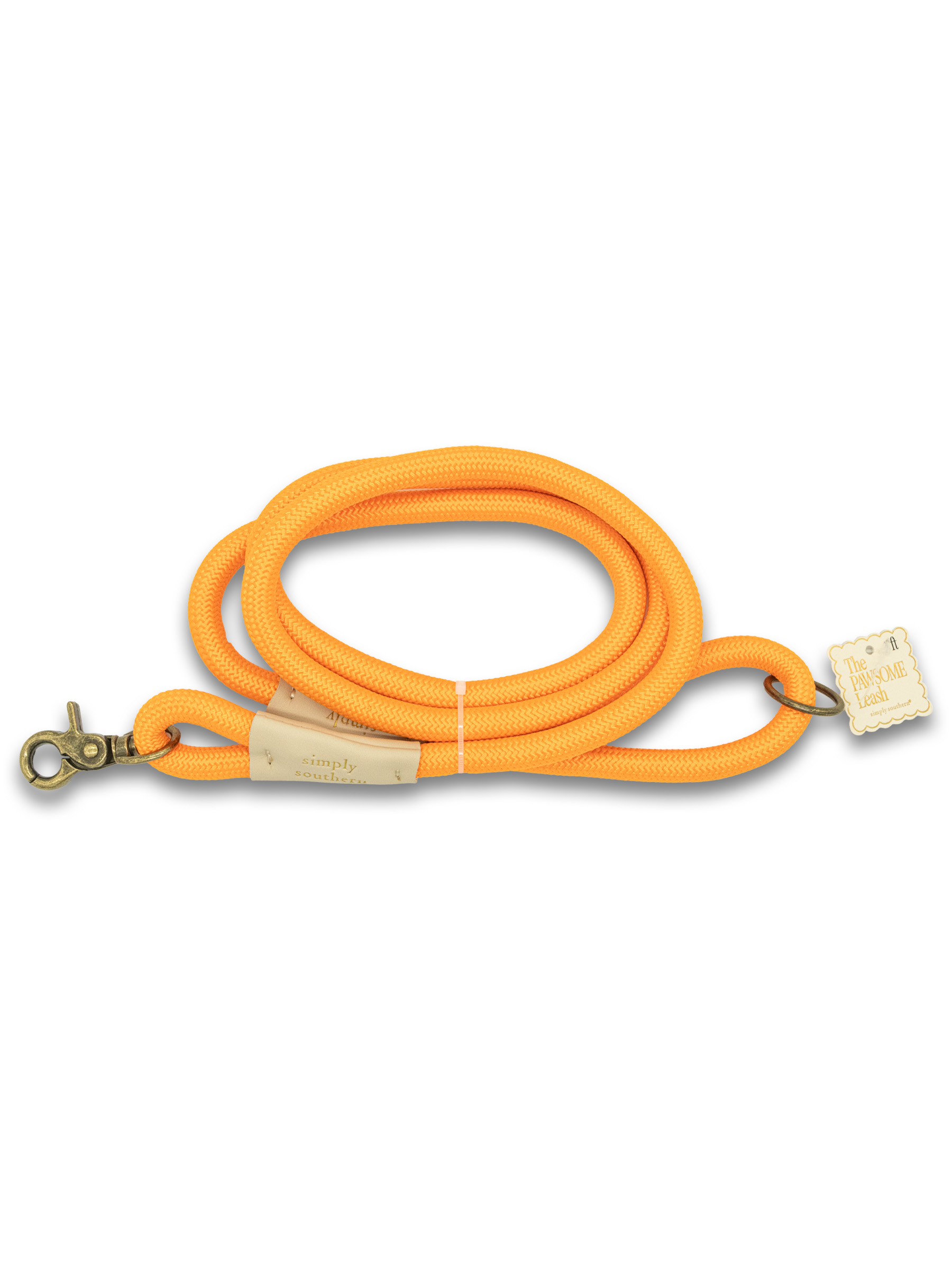 SS PET LEASH