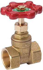 BRASS GATE VALVE 2IN