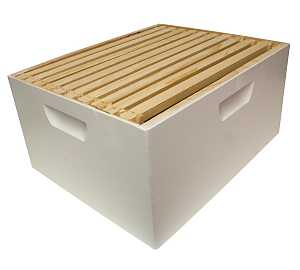 WAX 10-FRAME BEEHIVE BOX