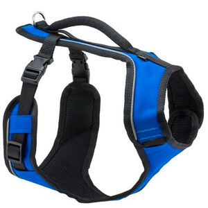 BLUE EASY SPORT HARNESS