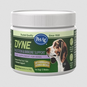DYNE DIGESTION & IMMUNE CHEWS