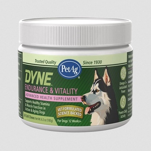 DYNE ENDURANCE & VITALITY CHEWS