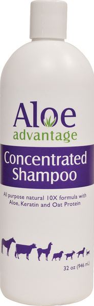 CONCENTRATED SHAMPOO W/ALOE QT