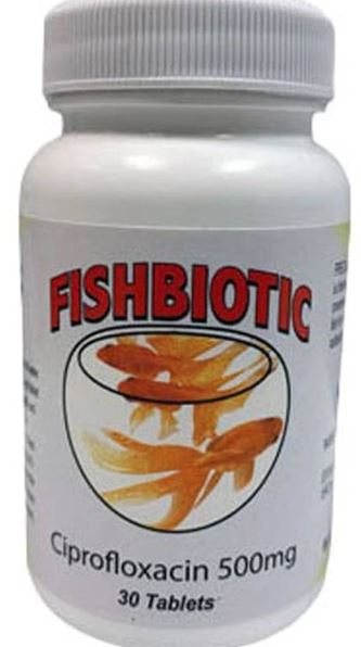 FISH CIPRO 500MG 30CT