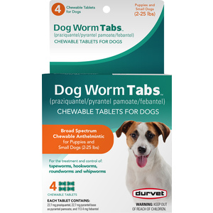 CAT/SM DOG TAPEWORM PILL