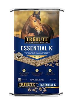 TRIBUTE ESSENTIAL K