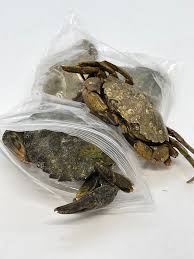 BRINED PEELER CRABS 3PKG