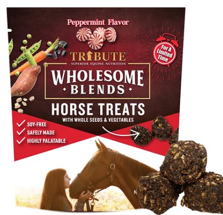 TRIBUTE PEPPERMINT HORSE TREATS