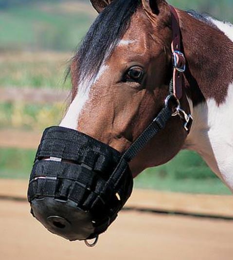 BLACK LARGE GRAZING MUZZLE