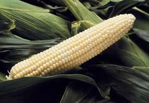 CORN - SWEET G-90 1/2LB