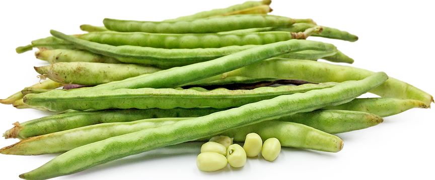 COWPEAS - WHITE ACRE 1/2LB