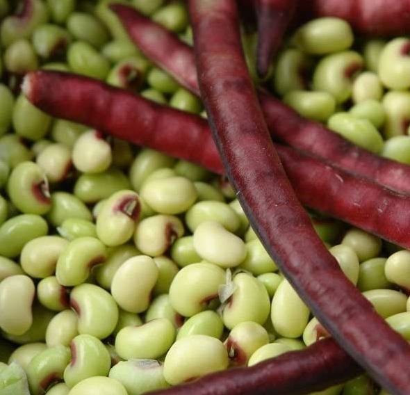 COWPEAS - PINKEYE PURPLEHULL 1/2LB