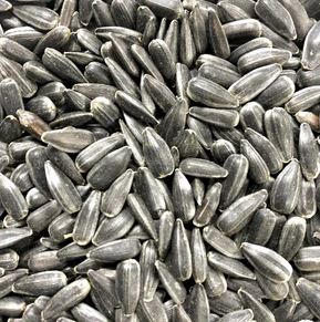 PEREDOVIC SUNFLOWER SEEDS 5LB