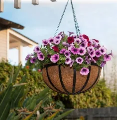 HB47 COCO LINER HANGING BASKET