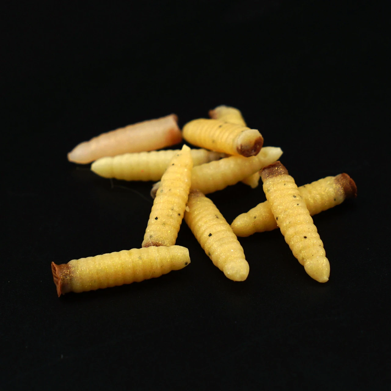 Q8 WAX-E WORMS 1" NATURAL