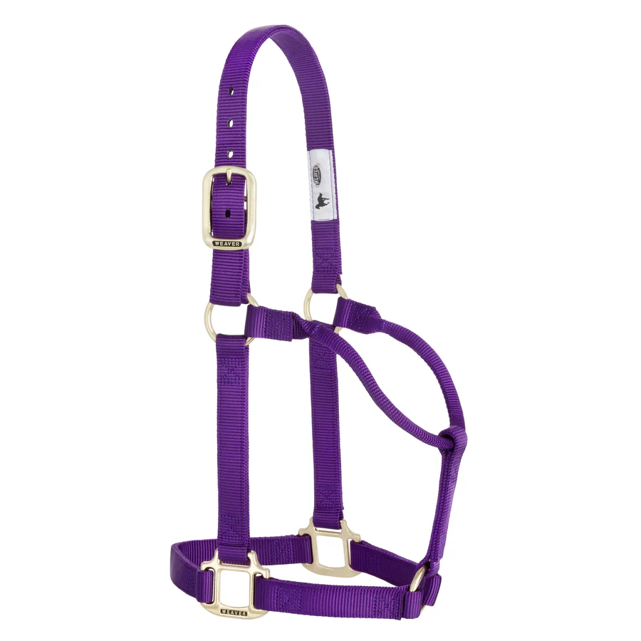 AV THRT SNAP HD POLY HLTR PURPLE