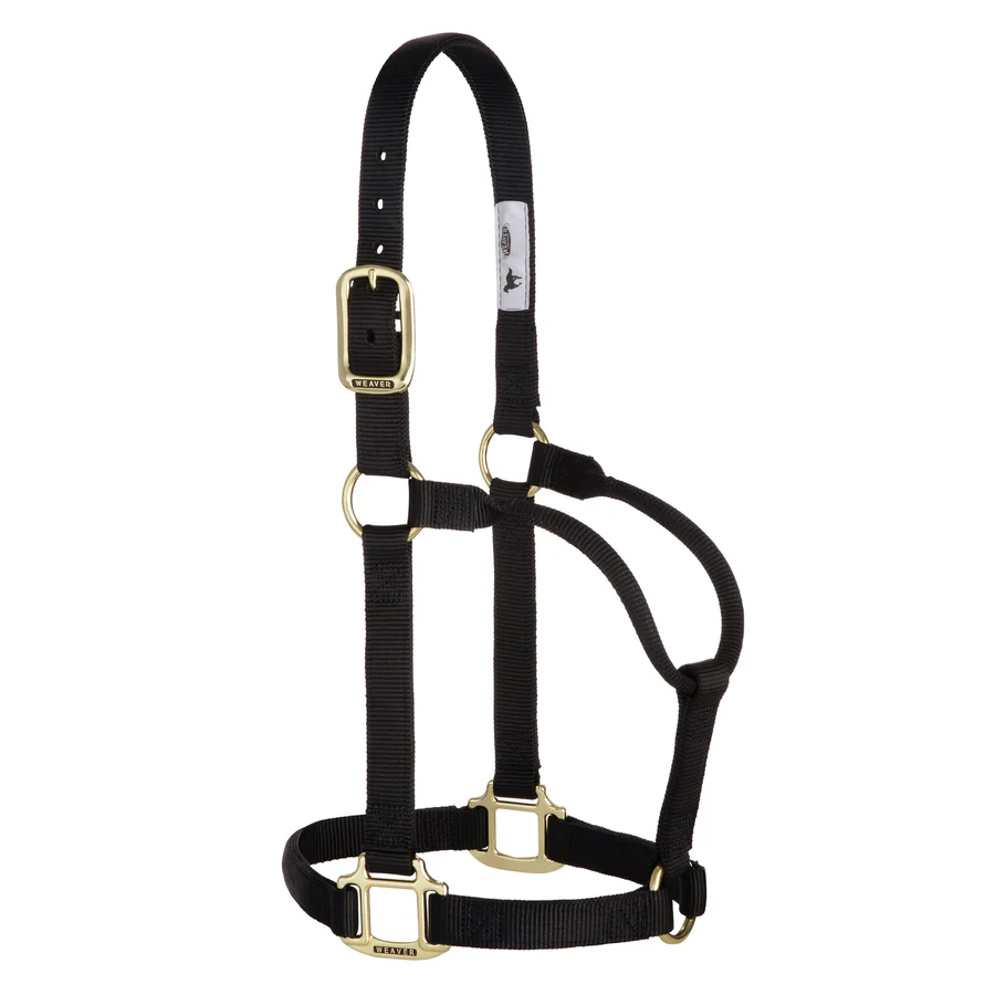 AV THRT SNAP HD POLY HLTR BLACK