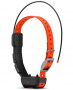 GARMIN ALPHA TT25 COLLAR ONLY
