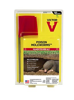 VICTOR POISON MEALWORMS KIT