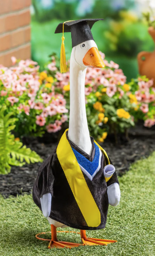 PORCH GOOSE OUTFIT GRADUATION