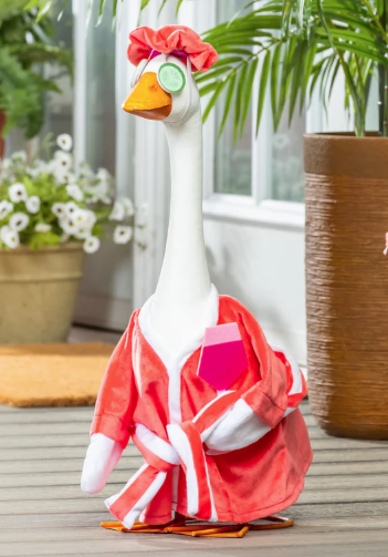 PORCH GOOSE OUTFIT RELAX TIME
