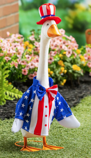 PORCH GOOSE OUTFIT PATRIOT SUIT