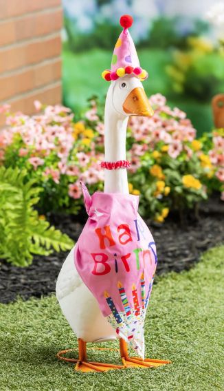 PORCH GOOSE OUTFIT BIRTHDAY GIRL