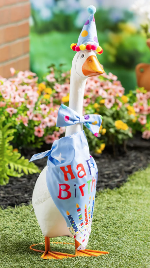 PORCH GOOSE OUTFIT BIRTHDAY BOY
