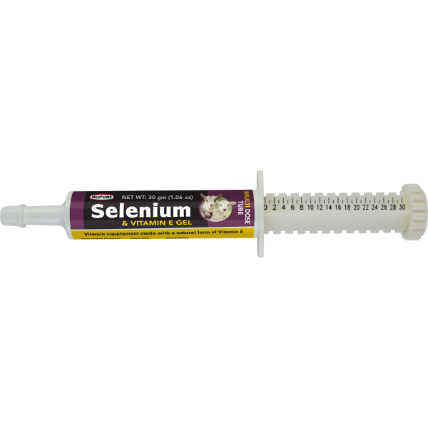 SELENIUM & VIT E GOAT GEL 80GM