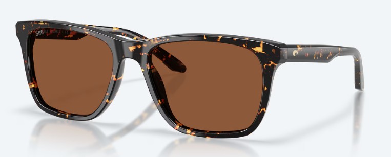 GRAVELS TORTOISE W/ COPPER 580G