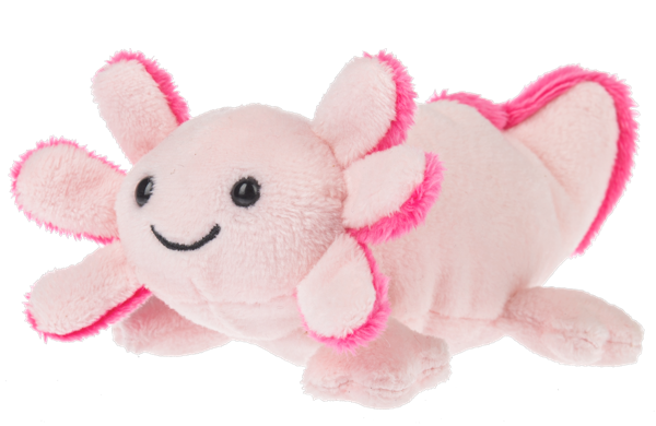 LIL AXTON AXOLOTL