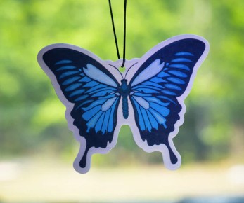 FOREST BUTTERFLY AF