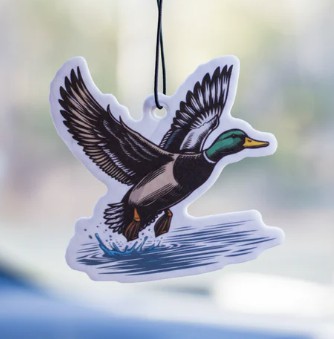 WINTER ICE PUDDLE DUCK AF
