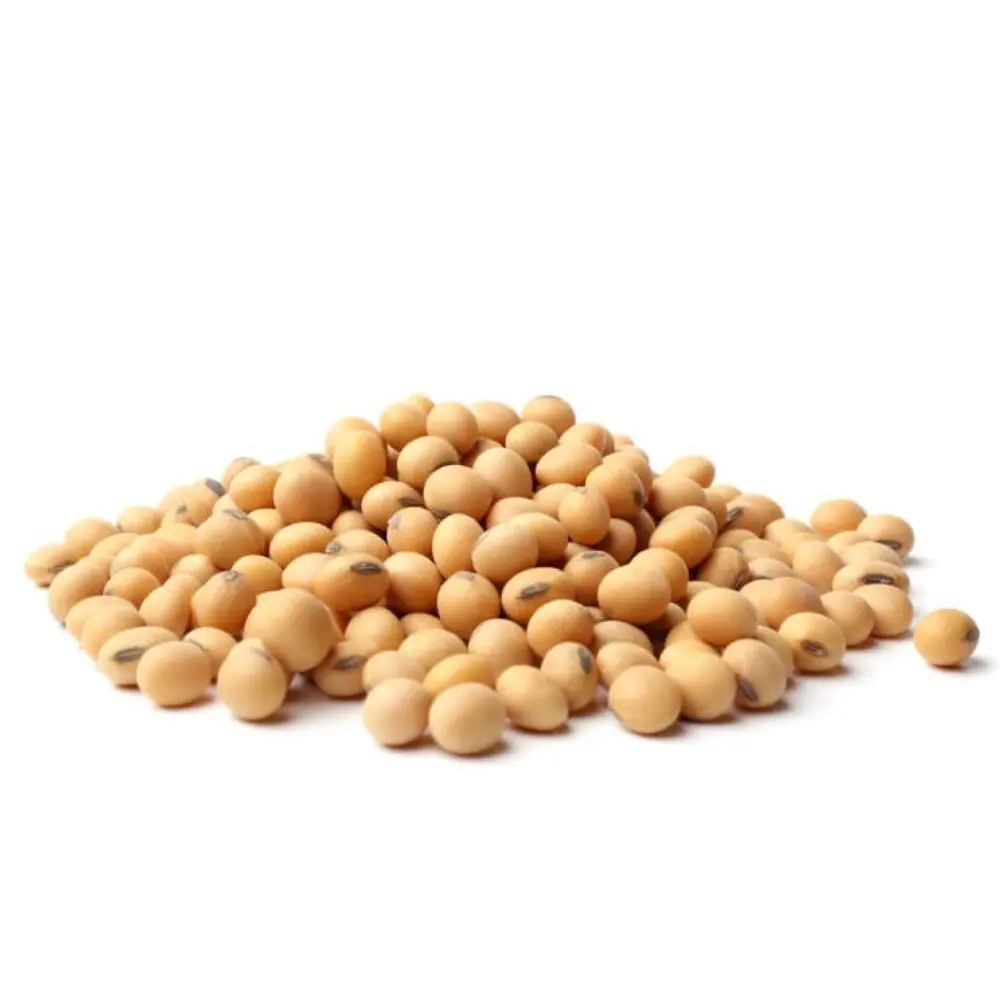 WHOLE SOYBEANS (FEED)
