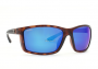 BOULDERS TORTOISE SUNGLASSES