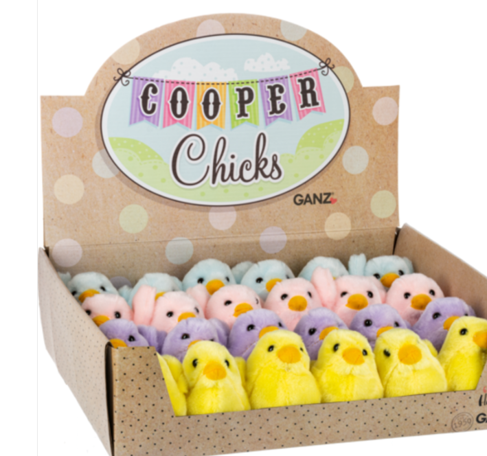 COOPER CHICKS