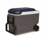 GRAY ROLLER COOLER 40QT