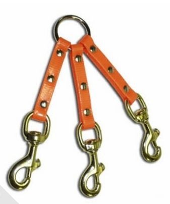 ORANGE 3 DOG SUNGLO COUPLET