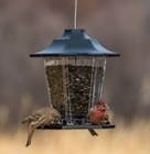 CARRIAGE FEEDER 1.5LB