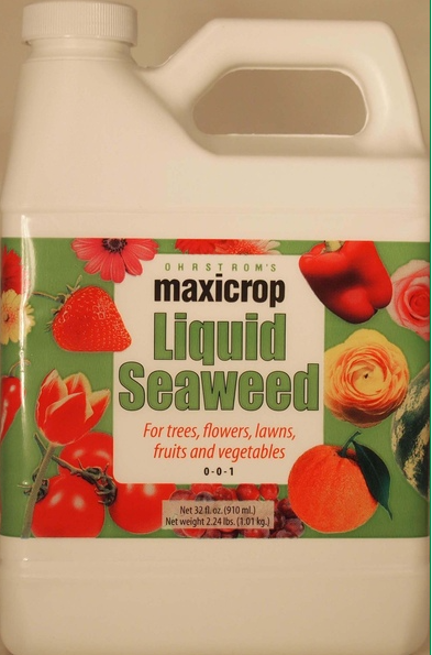 MAXICROP LIQUID FERTILIZER 1QT
