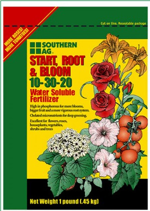 START ROOT AND BLOOM 10-30-20