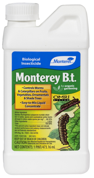 MONTEREY BT CONCENTRATE 1PT